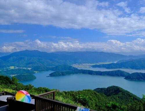 觀光客都還沒發現！大阪近郊「敦賀」✨絕美湖景打卡點、在地人激推鰻魚飯、氣勢滿滿神社一次收集！